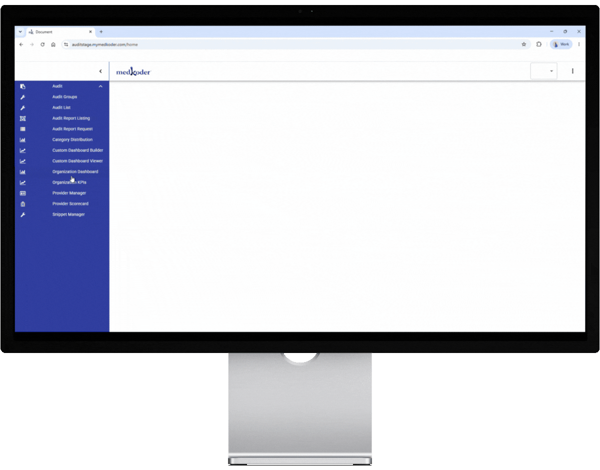 Audit Organization Dashboard